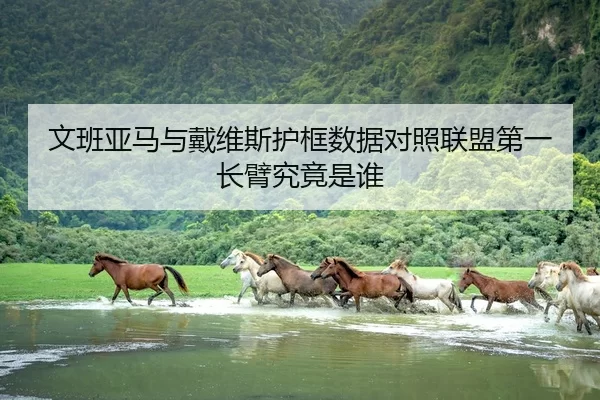 文班亚马与戴维斯护框数据对照联盟第一长臂究竟是谁