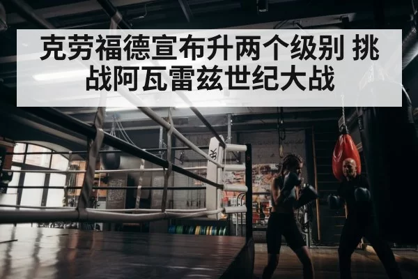 boxer training